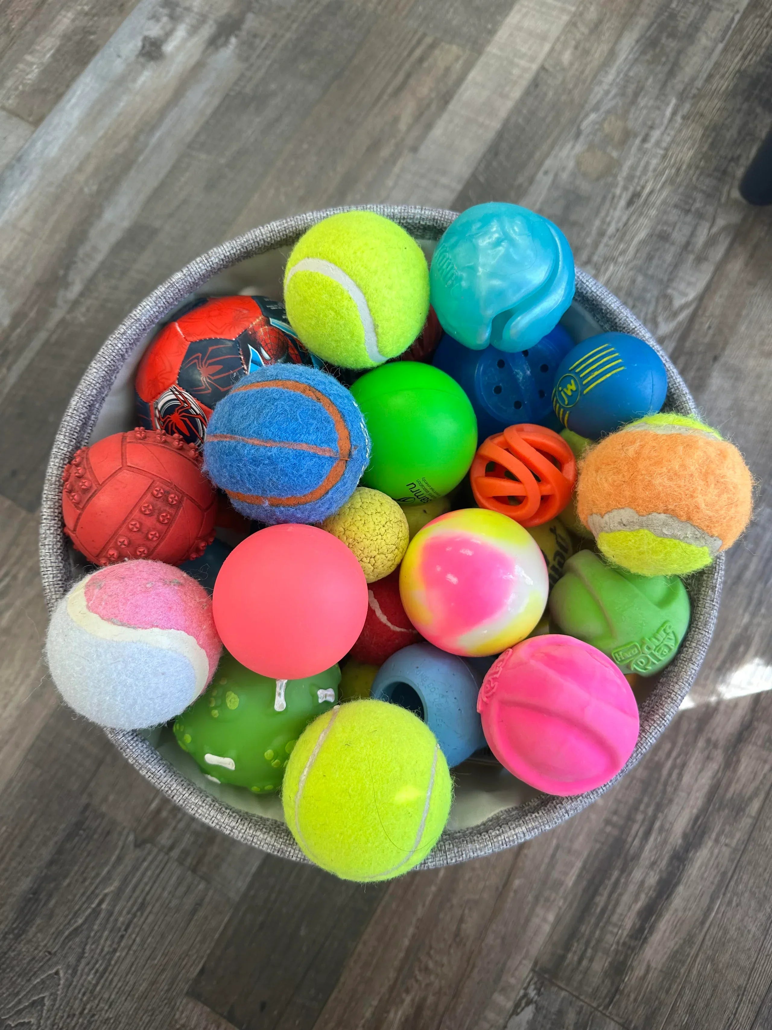 Collection of dog balls