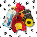 Dog toys and treats on a white background with black paw prints