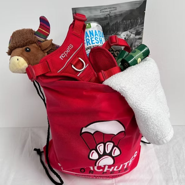Red drawstring bag with pet supplies including a plush toy, treats, and a towel on a white background.