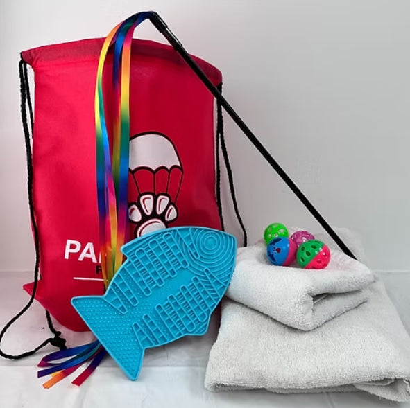 Red drawstring bag with colorful tassels, blue fish-shaped mat, towel, and colorful dog toys on a light background.
