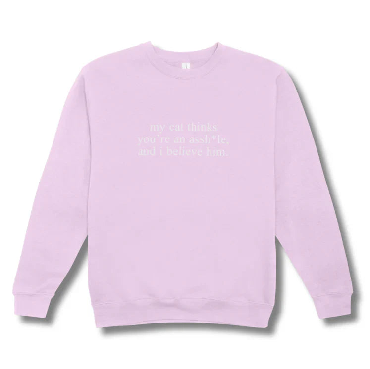 Light purple sweatshirt with text on a white background