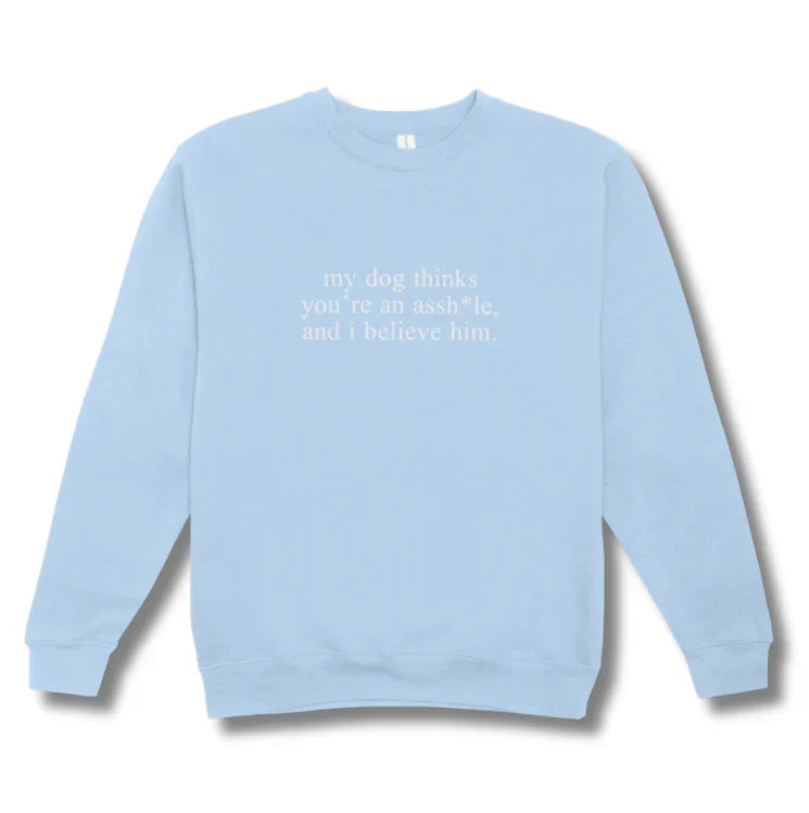 Light blue sweatshirt with text on a white background