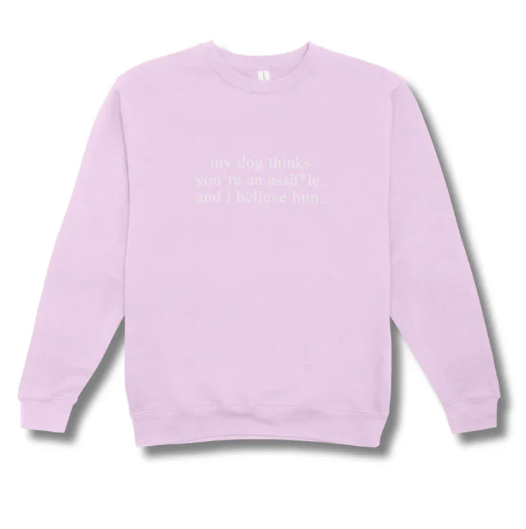Light purple sweatshirt with text on a white background