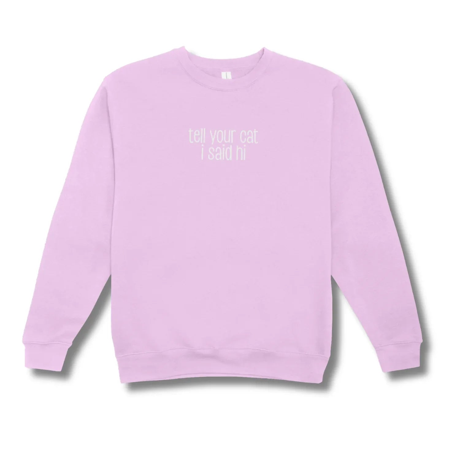 Light purple sweatshirt with text on a white background